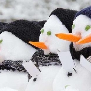 北方人看南方人下雪段子,煮“雪”论英雄！朋友圈超品“下雪段子”大盘点，给各位大神 ...