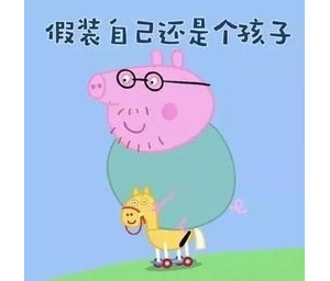 类似光阴的句子,时间磨平了棱角的句子？