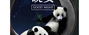 晚安的句子搞笑幽默,晚安幽默搞笑的句子？