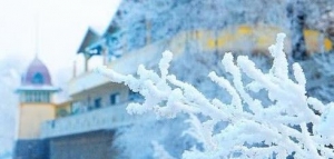 精选关于冬天的成语,句子,诗句大全集,精选关于冬天的成语、句子、诗句大全 ...