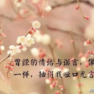 对感情心灰意冷的短句子,情人关系越来越疏远的句子？