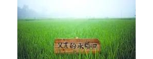 回老家三十亩良田的句子,回老家耕地的句子？