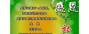 心情难以言表的句子,感恩感激的心情难以言表？