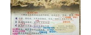 四年级课文中作诠释的句子？(精选5条)