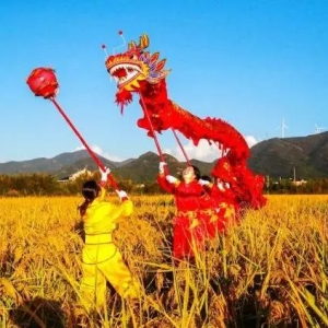 丰收的季节演讲稿，以丰收为主题的演讲稿，丰收的田野是最美的画卷主题演讲 ...