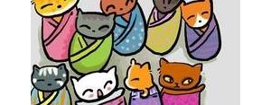 宠物猫发朋友圈的句子,朋友圈卖宠物猫的句子？
