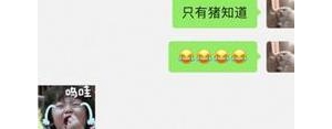 闺蜜出去玩的句子搞笑,闺蜜逛街的幽默句子？