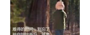 对父母离别的简短句子,送走了父母的伤感句子？