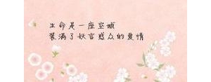 爱情的美好句子唯美短句,真爱的句子唯美短句？