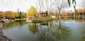 形容留意身边的美景的句子,留意身边的风景的句子？