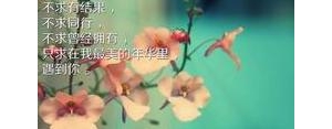 有的人值得珍惜有的人不值得珍惜相关的句子,不懂珍惜别人的给予的句子？ ...