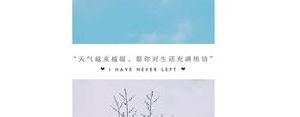 你的一切与我无关的句子？(精选10条)