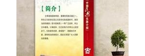 关于约定的短句优美,关于约定的唯美句子？