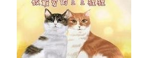 和猫一起自拍的句子,跟猫咪合拍的文案？