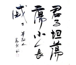 坦造句子二年级短句,君子坦荡荡小人长戚戚节奏划分？