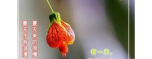 健康幸福短语,健康快乐幸福平安的句子？