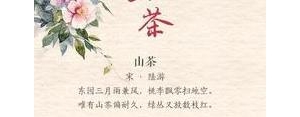 古诗中写花的句子,带有花的古诗句？