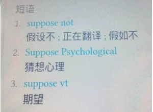 扮成短语,pose的短语？