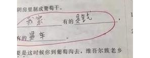 有的有的有的的句子是什么句子?有的有的有的怎么造句二年级？ ...