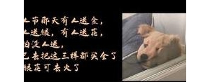 拍旅游照发朋友圈的句子沙雕,光遇文案搞笑？