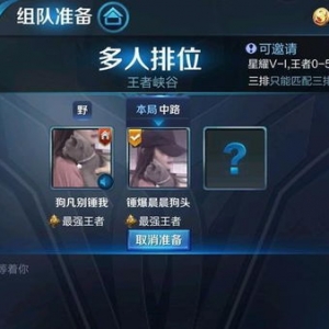王者组cp的句子,王者找cp幽默的句子？