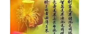 圣经因果报应的句子,因果报应的句子？