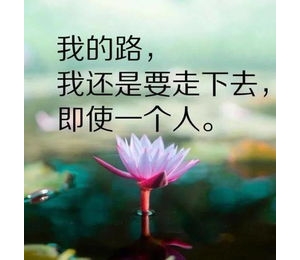 天气好心情好的句子,阳光甚好，心情亦然是什么意思？
