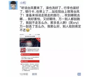 风猛的句子,形容台风猛的词句？