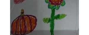 描写我的蔬菜的句子,自己种的菜怎么赞美？
