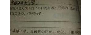 设问的句子有哪些短句?十个优美的有文化的设问句？