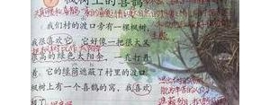 枫树上的喜鹊是完整的句子吗?二年级语文课文 枫树上的喜鹊优美句子？ ...