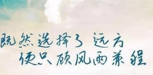 简短有深度的句子短句,美文短语】再孤独，也要把一个人活成一群人，我是牧羊人，文字 ...