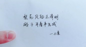 老人即将离去的句子,缅怀亲人忌日的短句子？