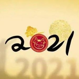 告别2020迎接2021的短句,小学生展望2021年的句子？
