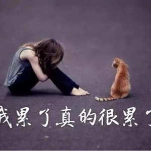 适合晚上所有情绪发的朋友圈句子,我很寂寞，为什么到了夜晚就感觉特别寂寞呢？ ...