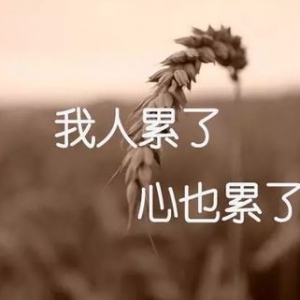 送给傻女人的句子,形容女人为了爱情傻的句子？