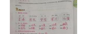 二年级下册语文第一单元知识点梳理,部编版二年级下第一单元知识点梳理词语，句子，考 ...