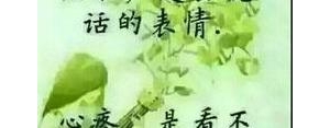 描写没心没肺的句子,关于不受外界影响，不受感情左右，那种没心没肺的句子？ ...