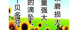 关于向日葵的搞笑励志的句子,像向日葵一样励志的句子？