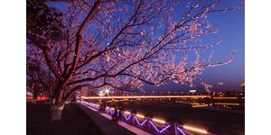 带璀的句子,夜景很美灯火阑珊景象优美的句子？
