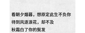 表白父母的句子,表白父母文案？