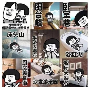 大年宅在家里朋友圈的句子,大年发朋友圈的句子？