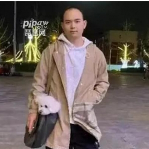 羊了个羊创始人是谁，羊了个羊创始人创业故事？张佳旭个人简介 ...