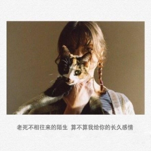 想个人的短句,酒后想念一个人时的感慨句子？