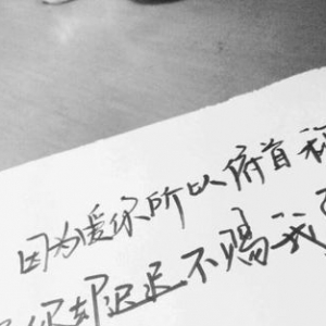 8字唯美积极向上短句,表扬品学兼优的句子？