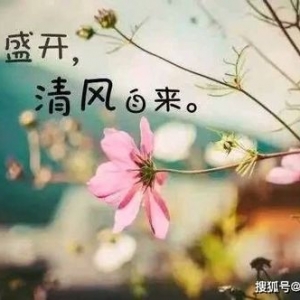 叶非夜的句子,叶非夜四个简洁语句告白？