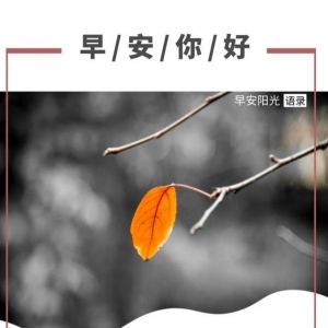 早安正能量的句子,早安正能量句子：如果你真要梦想成真，就先从梦中醒来 ...