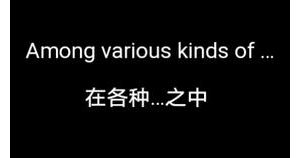 13句温柔的中英文句子