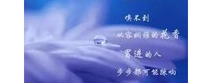 关于喜欢的优美短句,喜欢即是美好的句子