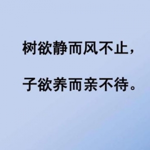 树像家人的句子大全,请问对于"树欲静而风不止,子欲养而亲不待"这句话你有什么感悟？ ...